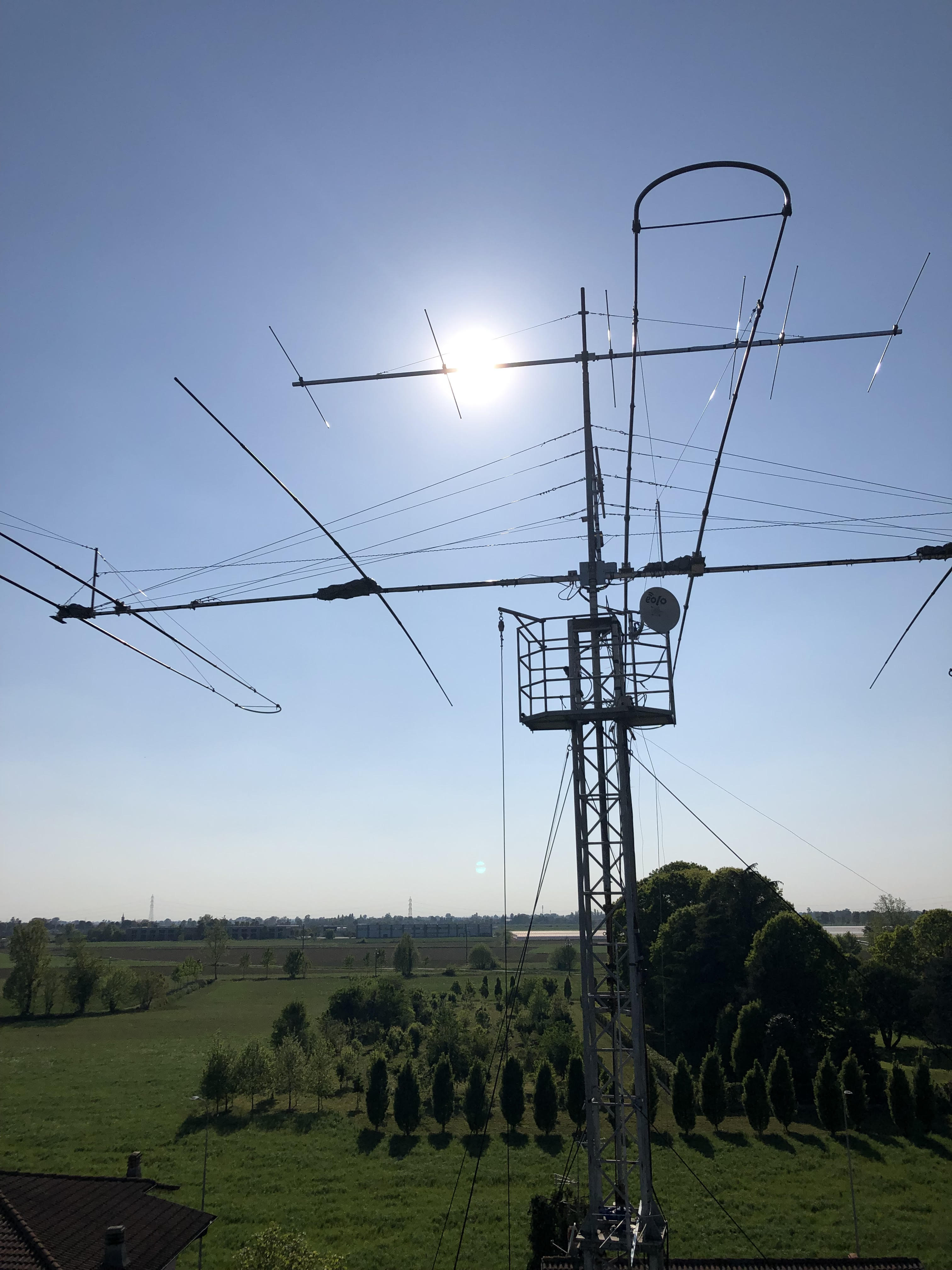 ant2