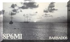 10 mt