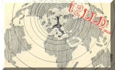 12 mt
