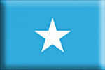 T5