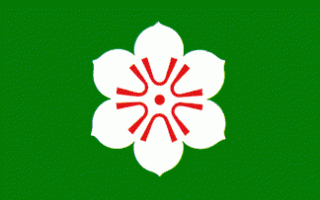 Saga