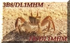 15 mt
